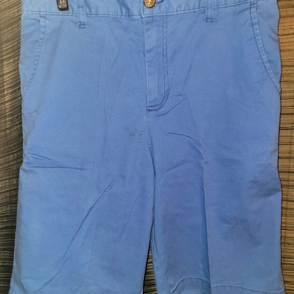 Boys Carter's dress shorts